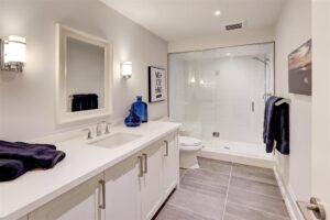 Lower Level Bathroom